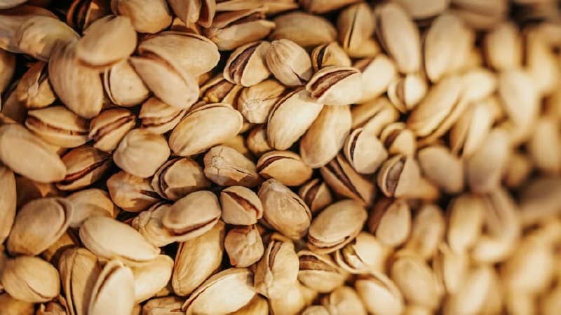 تصویر 3 از پسته اکبری ایوب با کیفیت ارزان